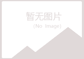 兰山区青筠金属有限公司